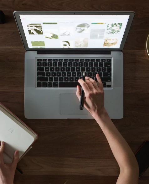 best astrologer for business problems